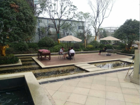 陶冲湖城市广场售楼部景观绿化工程施工