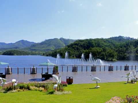 四会东城碧桂园凤凰半岛项目二期一标段示范区园建工程