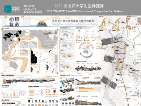 心肺复苏——汤加火山灾后生态修复及防御性措施