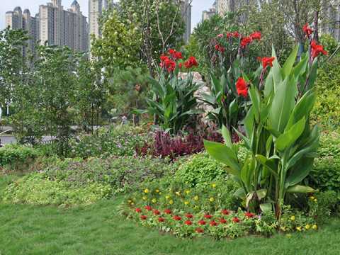 凤麟路（龙湖北路-泉河路）道路绿化工程