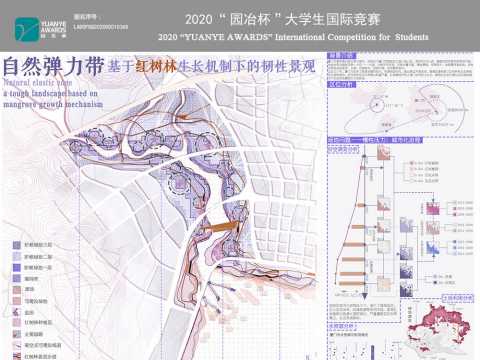 自然弹力带——基于红树林生长机制下的韧性景观