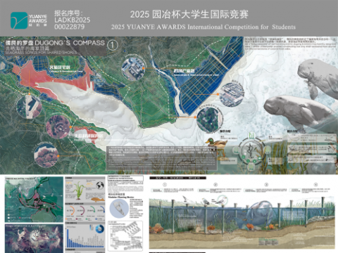 儒艮的罗盘：共栖海岸的海草诗篇