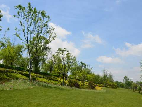 铜陵市黑砂河下游（长江西路-滨江大道）岸线整治工程