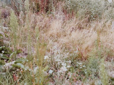 Studio Razavi Architecture | Mountain House II