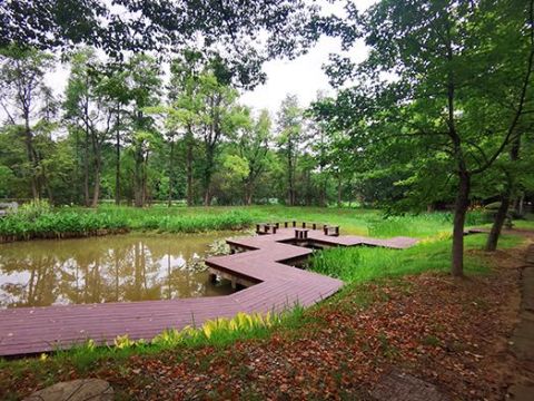 落雁景区湿地保护与恢复工程