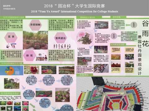 谷雨花--安阳易园牡丹园景观设计