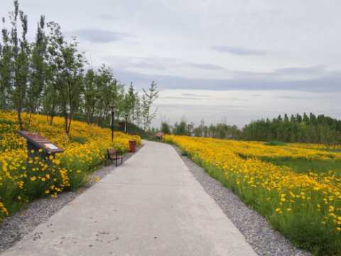 西咸新区沣西新城新渭沙湿地公园一期项目