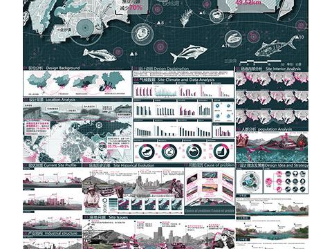 好渔知时节——基于生态修复背景下北部湾鱼类生境保护与优化