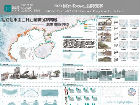 应对海平面上升红树林景观保护策略