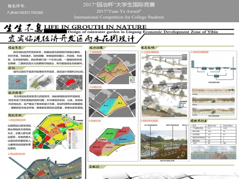 雨水管理--宜宾临港经济开发区雨水花园设计