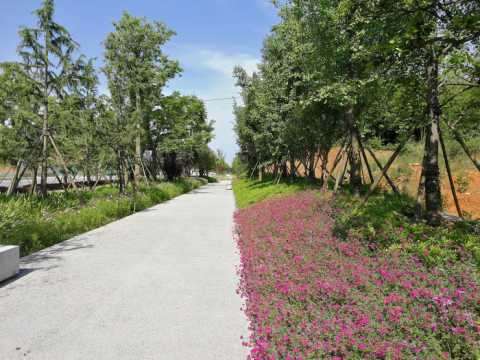 梅溪湖路西延线道路景观施工图设计