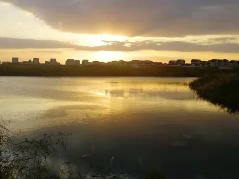 上海万科-莱茵半岛