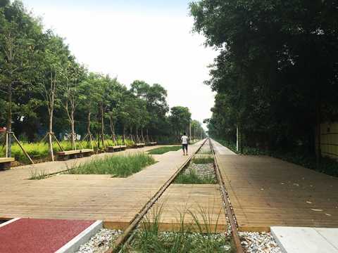 厦门自贸区铁路公园核心段绿化提升整治工程