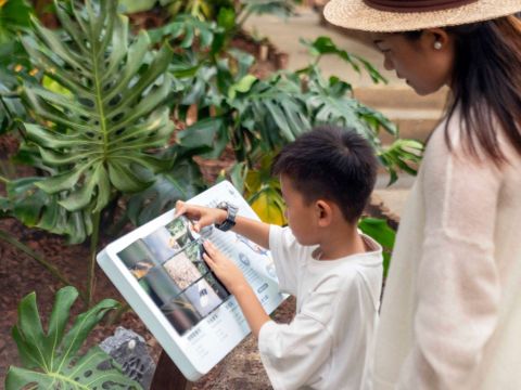 苏州市大阳山植物园温室馆改造提升