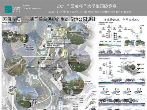 万雁今归——基于候鸟保护的生态湿地公园设计