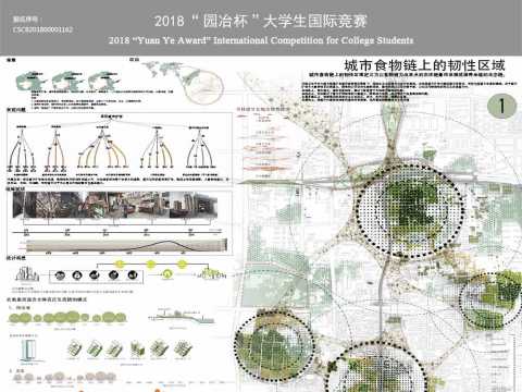 城市食物链上的韧性区域