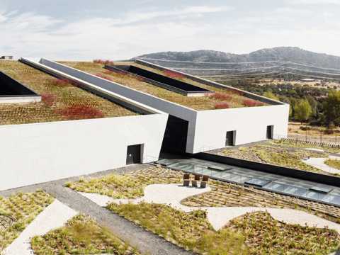 Villalba General Hospital Landscaping