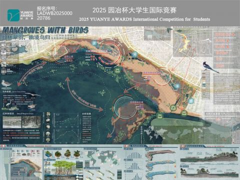 红林翠羽，幽境鸟归——红树林生境修复与鸟栖环境重建设计