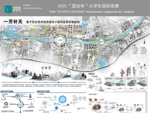 一芥补天——基于仿生技术的济南市小清河宜居环境规划