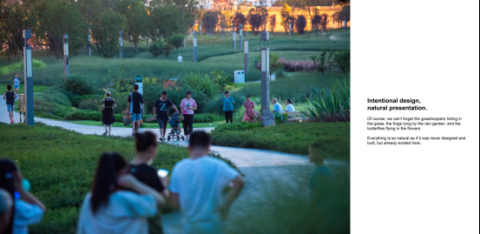 重庆广阳岛智创生态城茶园大道生态修复项目
