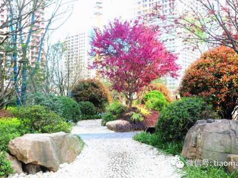 跳马园林-长沙•金茂湾首期（F21地块）大区景观