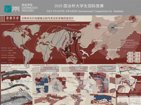 淞澜羽渡——吉林市长白岛湿地公园鸟类友好景观改造设计