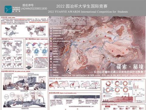 碳索·秘境——长白山西麓哈泥高山泥炭地的保护与恢复