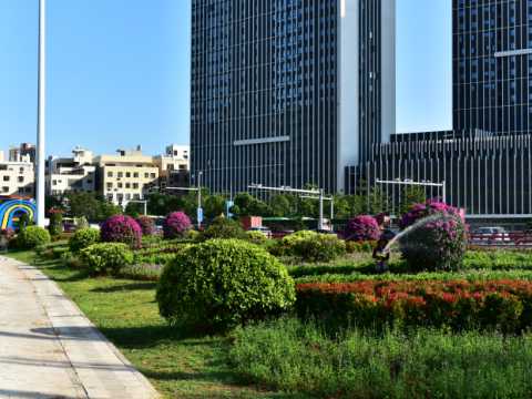 四桥一隧重要节点绿化重建提升工程