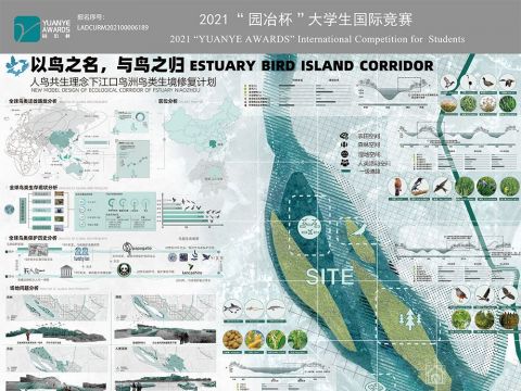以鸟之名，与鸟之归——人鸟共生理念下江口鸟洲鸟类生境修复计划
