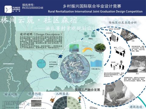 云窝窝——林间云筑，社区森宿油扎箐村景观规划设计