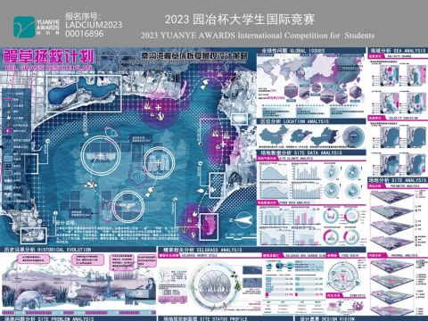 鳗草拯救计划--桑沟湾鳗草床恢复景观设计策略