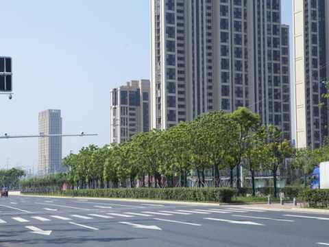 合经区宿松路（锦绣大道-始信路）绿化施工及宿松路与沪蓉高速间绿化提升工程