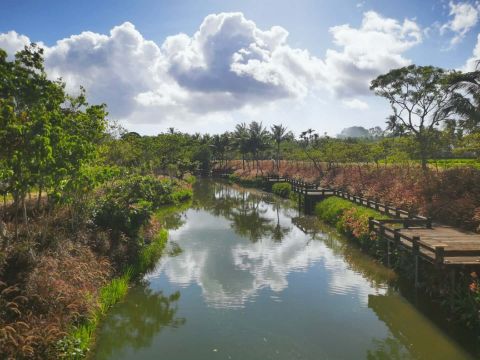 博鳌蔡家宅文化旅游区园林景观工程