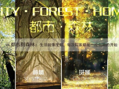 中企光华雅境项目