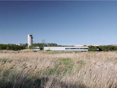 迹（TAO） | 天鹅湖湿地公园景观廊及观鸟塔