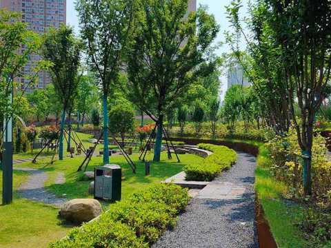 武汉市汉广小森林公园景观建设工程