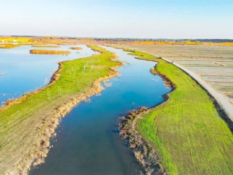 雄安新区府河河口湿地水质净化工程