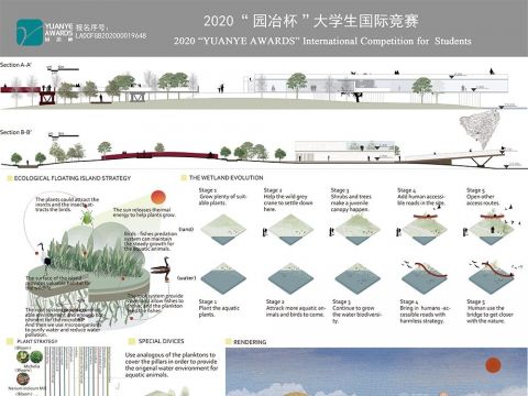 重获生机-太平渔村湿地修复改造