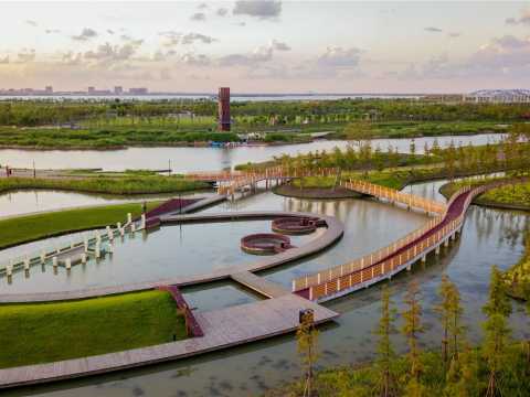 上海临港主城区春花秋色景观工程