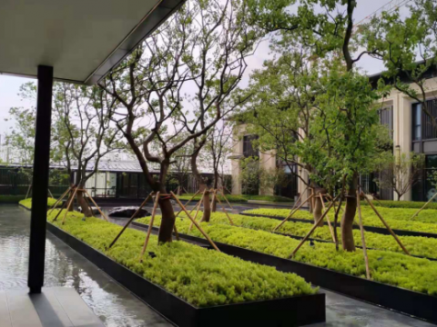 常熟柳州路展示区