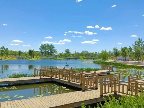 北京市大兴区新凤河流域综合治理工程PPP项目