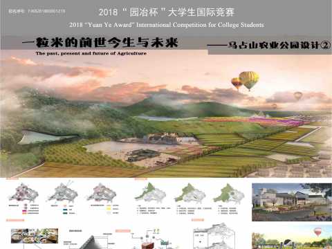 《一粒米的前世今生与未来》