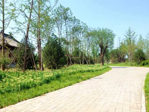 济南兴福寺公园