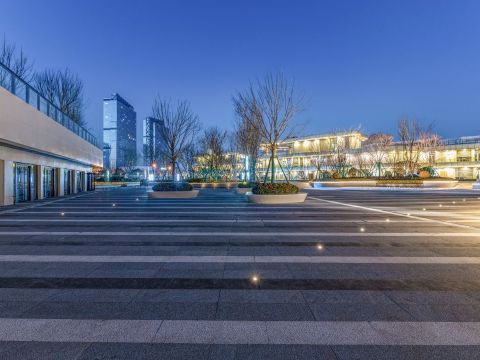 世茂国际中心项目2.2期景观工程