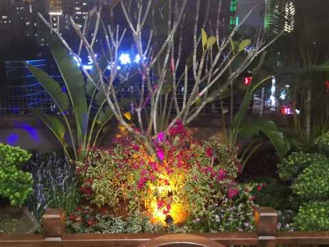 海口海涯大厦空中花园园林景观工程