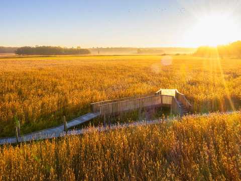 Accessible nature trail, Lammassaari Boardwalk