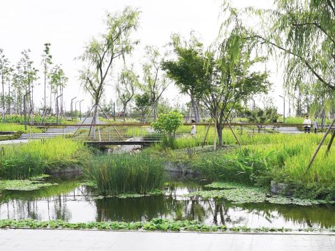 杭州钱塘生态公园