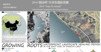 Growing Roots—Waterfront Landscape Healing Design