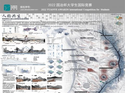 人豹共生——青海鄂拉山脉山地再野化生态修复