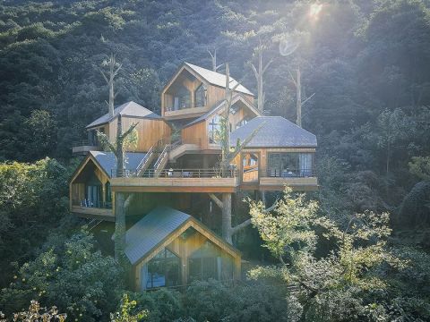 王晖建筑工作室丨杭州开元森泊度假酒店树屋